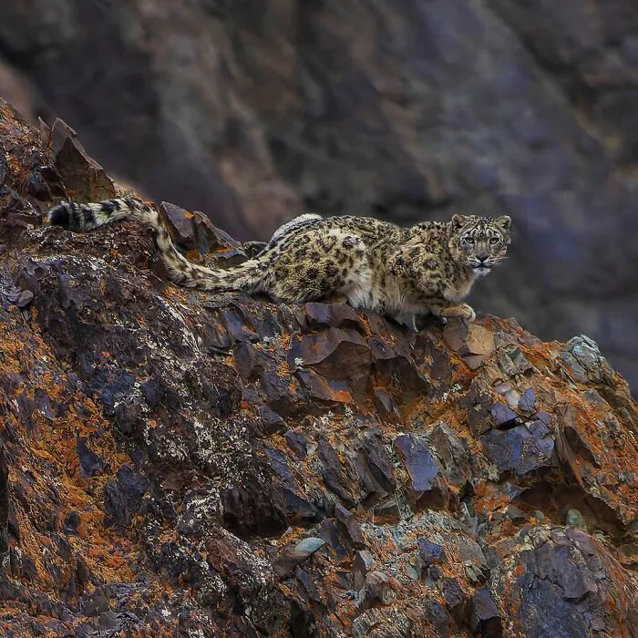 A Photographer Captures Nature’s Most Breathtaking Moments, And Here Are His 30 Best Shots