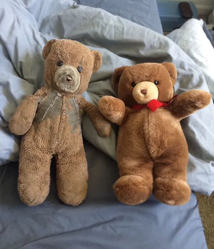 When My Brother Was Born In 1985, My Mother Purchased Two Identical Teddy Bears