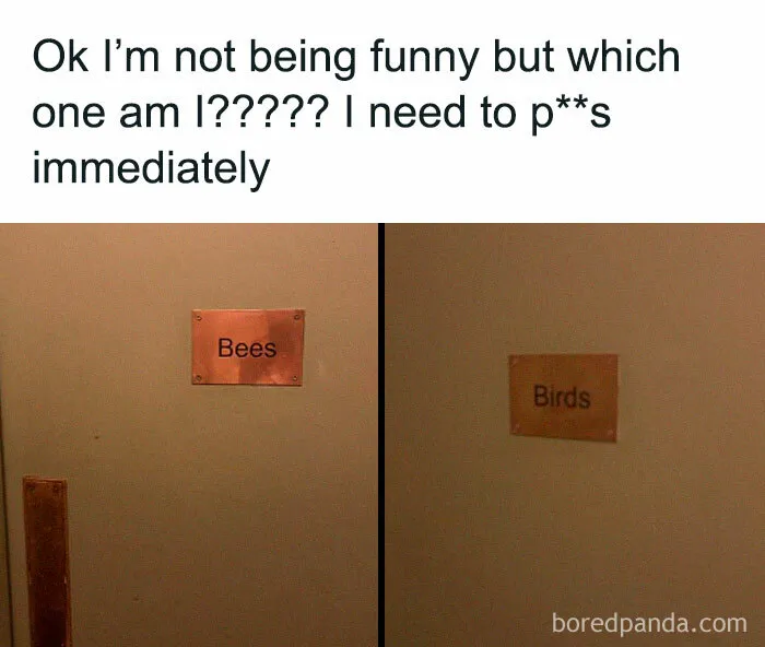 Funny meme showing restroom doors labeled "Bees" and "Birds" causing confusion.