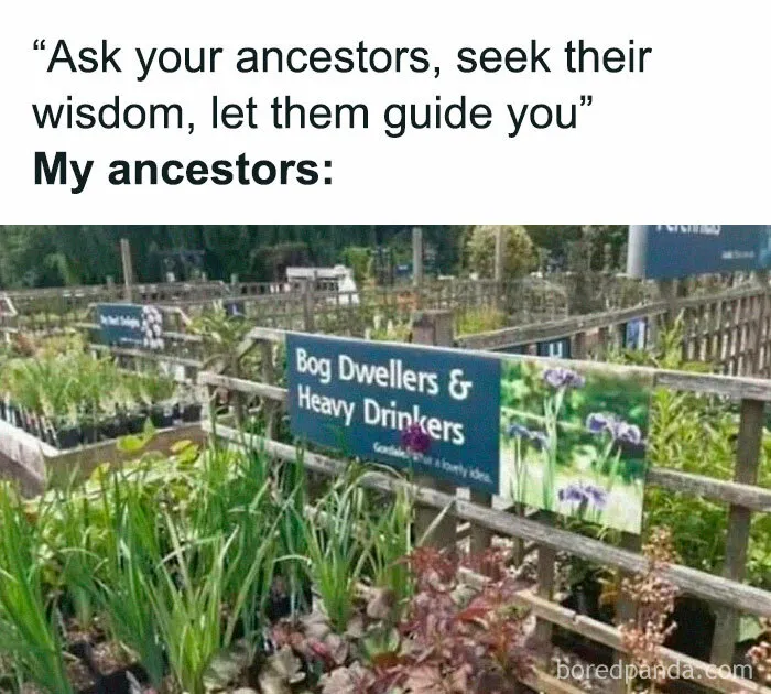 50 Funny Memes To Bring Some Much-Needed Laughter Into Your Life (New Pics)