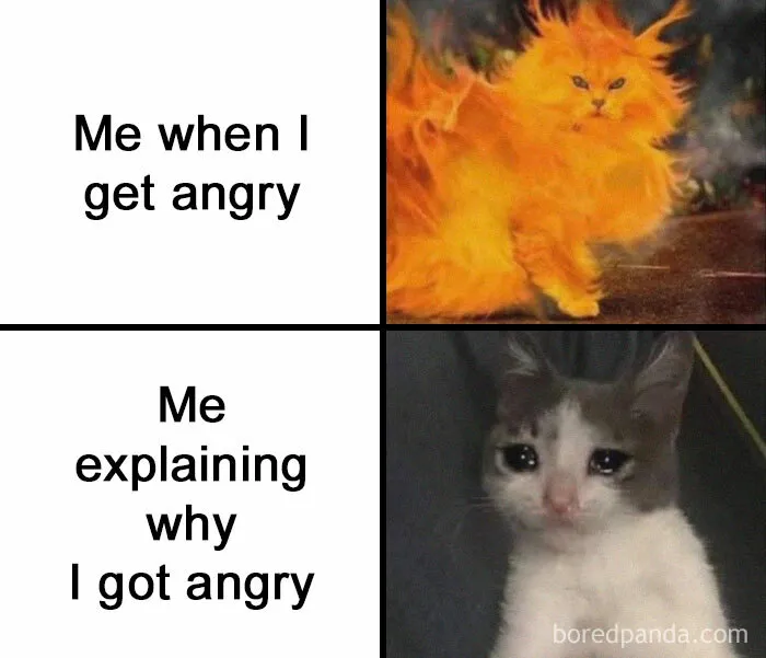 50 Funny Memes To Bring Some Much-Needed Laughter Into Your Life (New Pics)