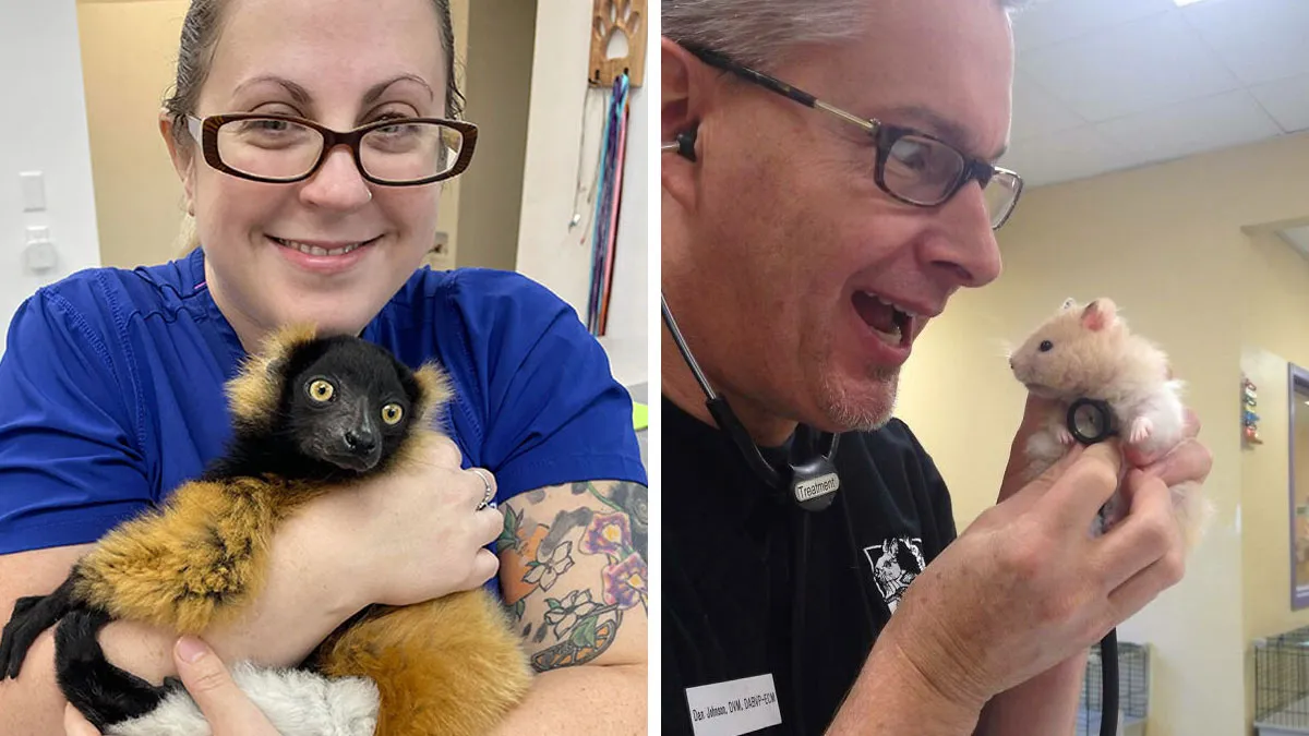 Veterinarians Share The Funniest And Strangest Moments They’ve Ever Had On The Job (New Pics)