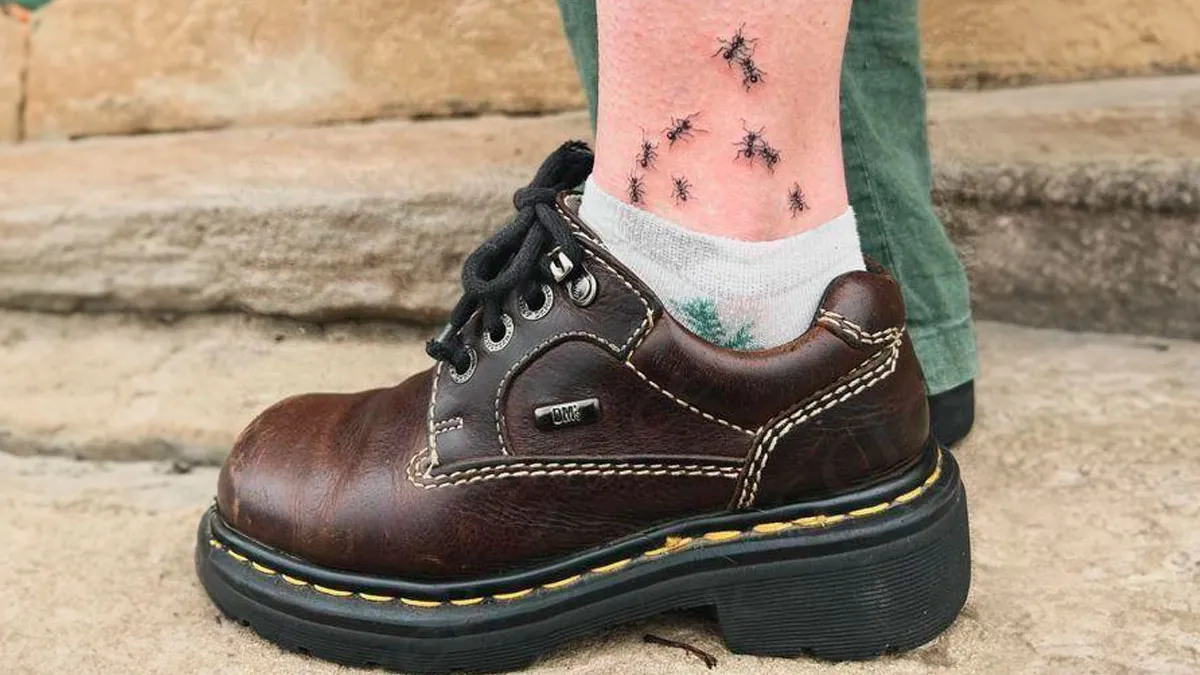 “Thanks, I Hate It”: 50 Pics That May Ruin Your Whole Day (New Pics)