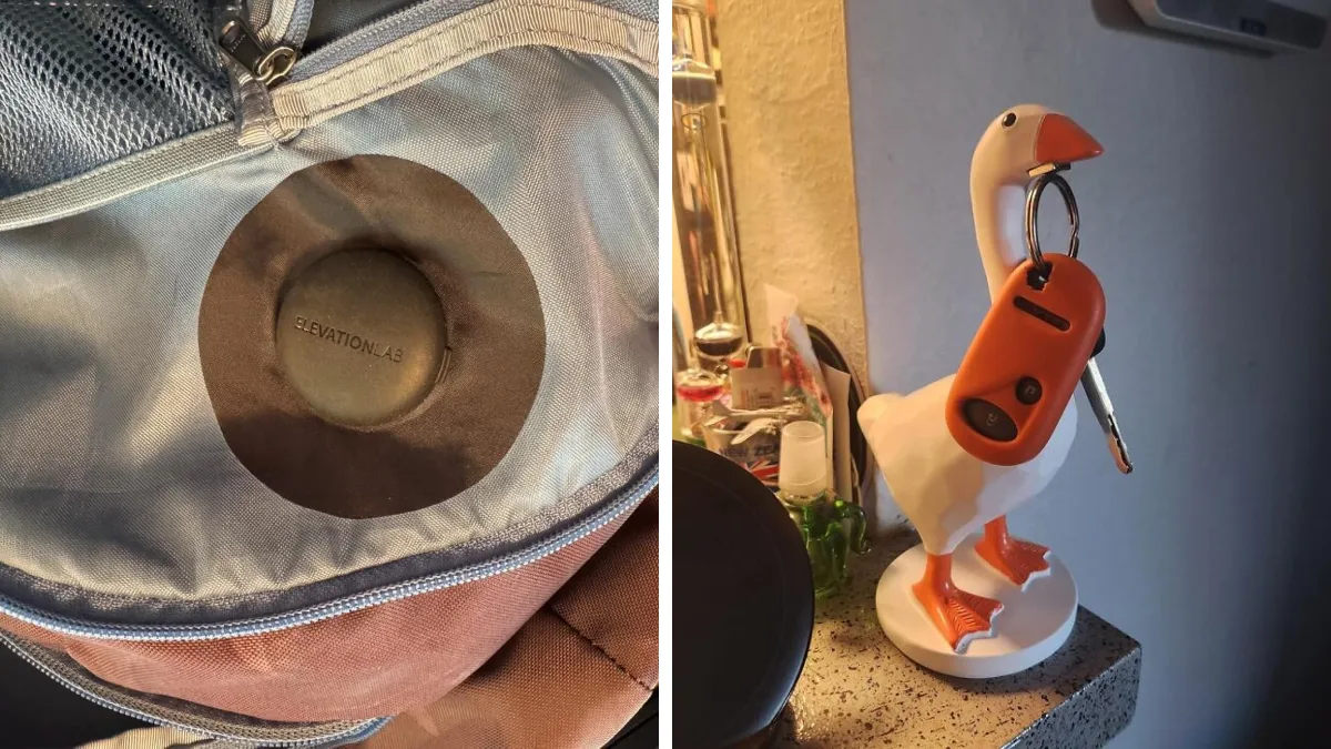 The Internet's Best Kept Secrets: 30 Bizarrely Charming Amazon Finds