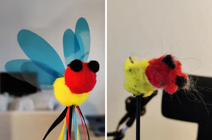 My Cat's Toy After A Year Of Use
