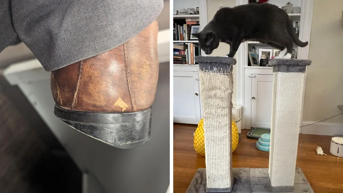 People Shared Their Most Used Things That Changed Drastically Over Time (New Pics)