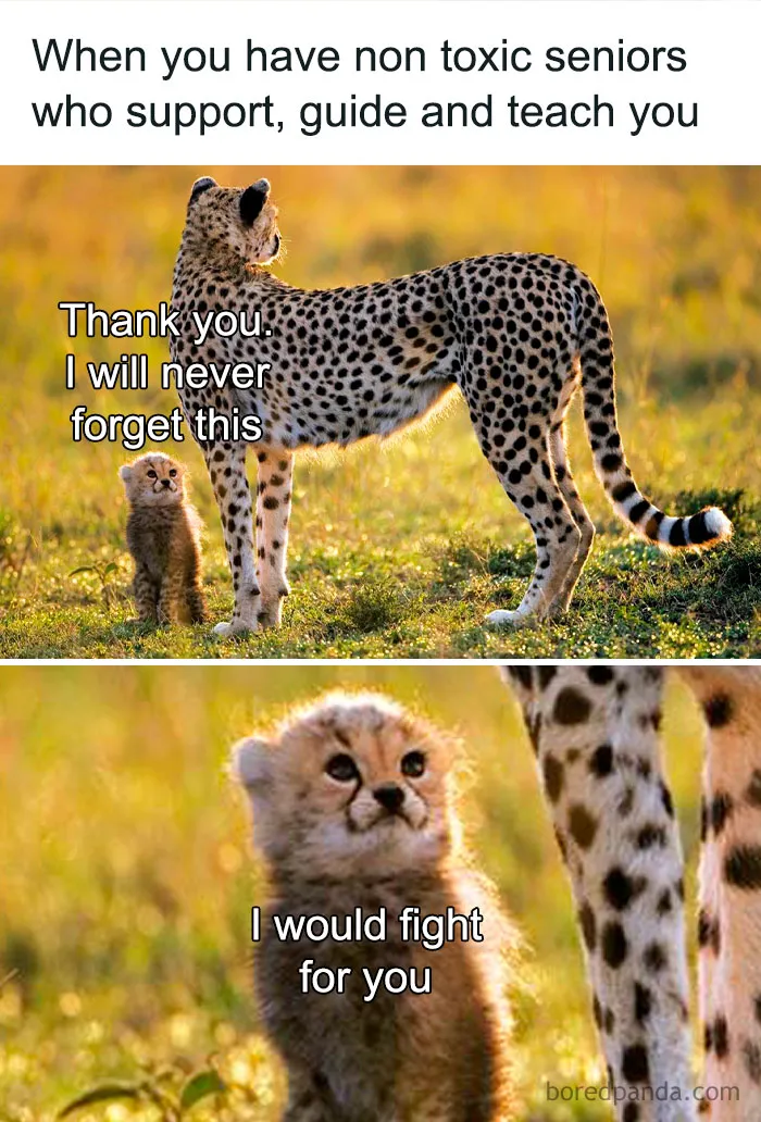 "White Collar Humor": 50 Work Memes That Might Make You Laugh, Then Cry