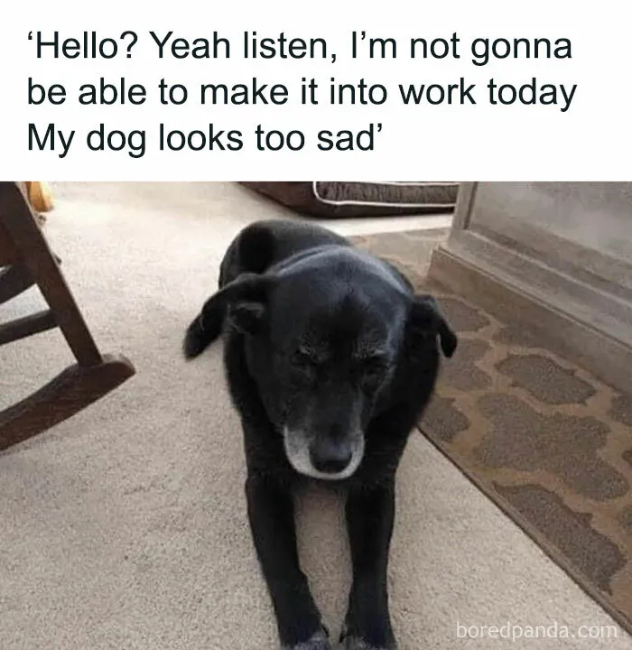 Too Sad to Work Today