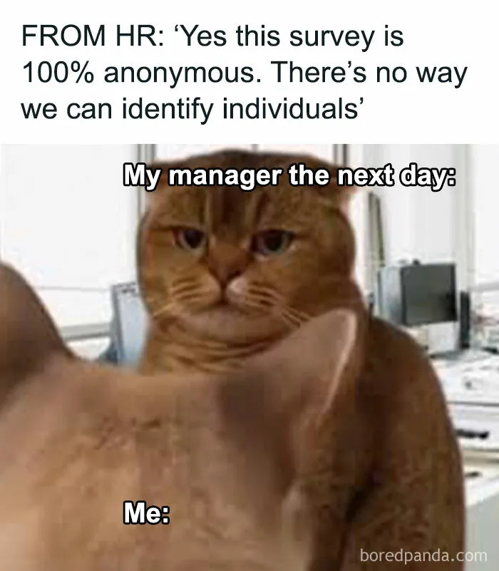 Trust Issues At Work