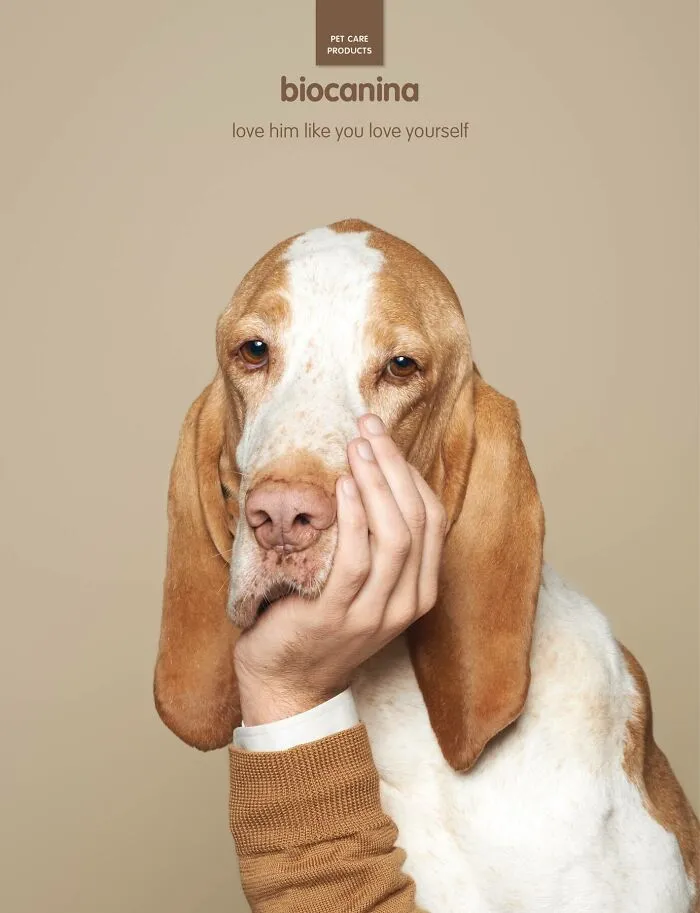Paw-Sitive Impact: 29 Iconic Dog Ads That Stole Hearts Globally