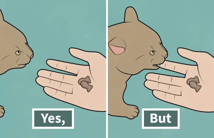 40 New “Yes, But” Comics That Continue To Expose Our Society’s Contradictory Nature