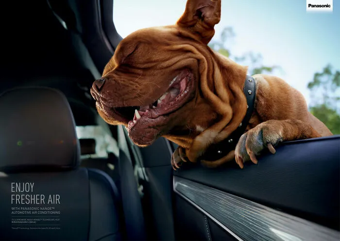 Paw-Sitive Impact: 29 Iconic Dog Ads That Stole Hearts Globally