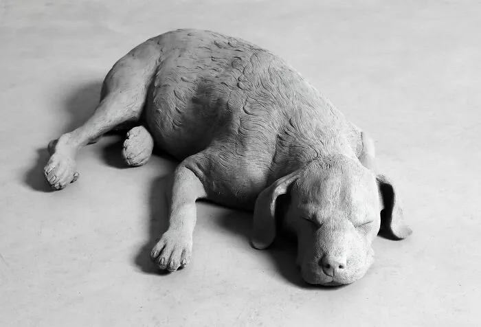 "Dog", 2019
