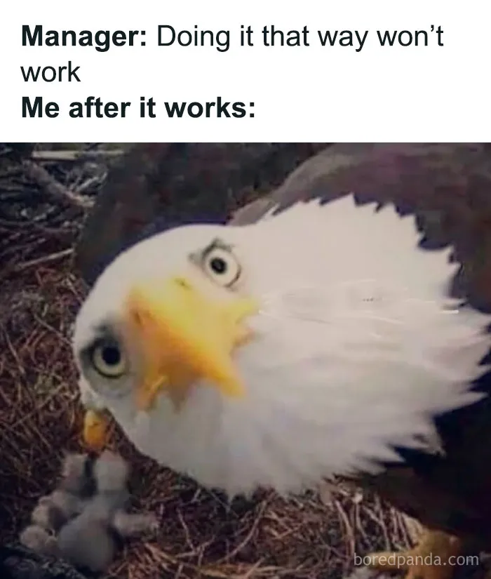 "White Collar Humor": 50 Work Memes That Might Make You Laugh, Then Cry