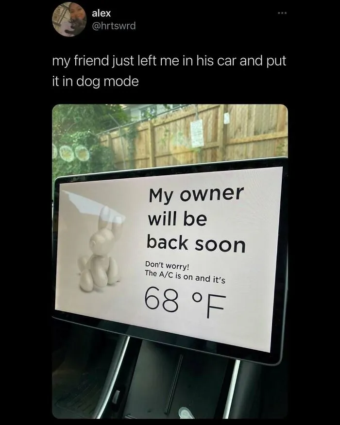 Humorous tweet about being left in a car in dog mode, displayed on a vehicle screen.