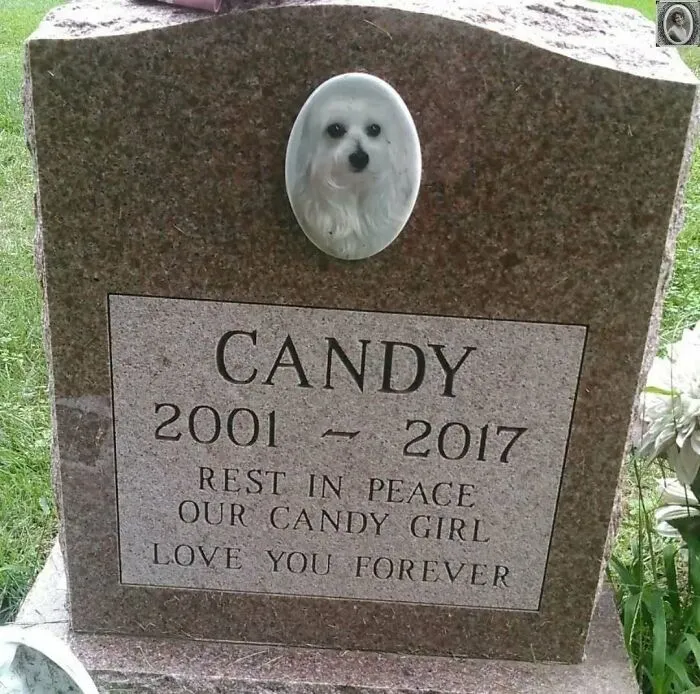 50 Haunting Portraits Found On Tombstones That Tell Stories Of Lives Once Lived