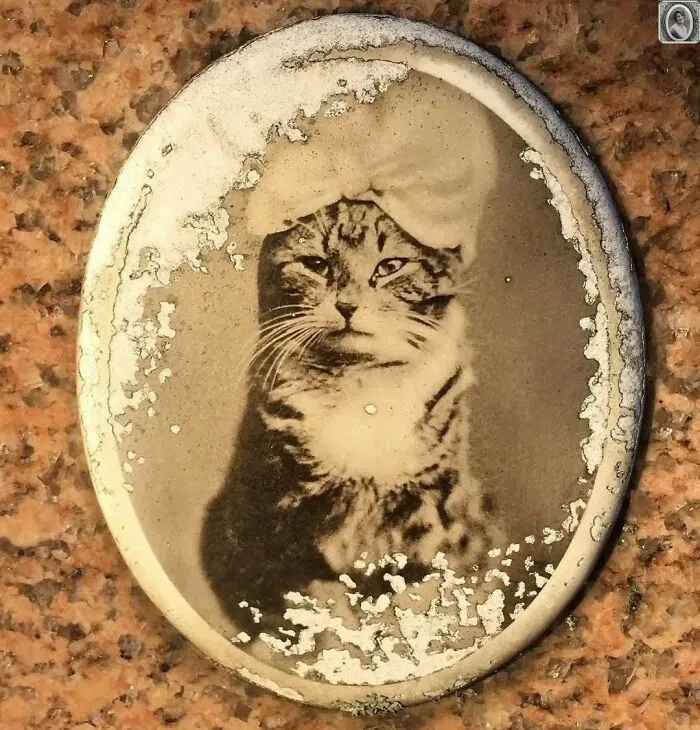 50 Haunting Portraits Found On Tombstones That Tell Stories Of Lives Once Lived