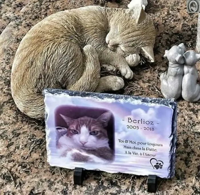 50 Haunting Portraits Found On Tombstones That Tell Stories Of Lives Once Lived