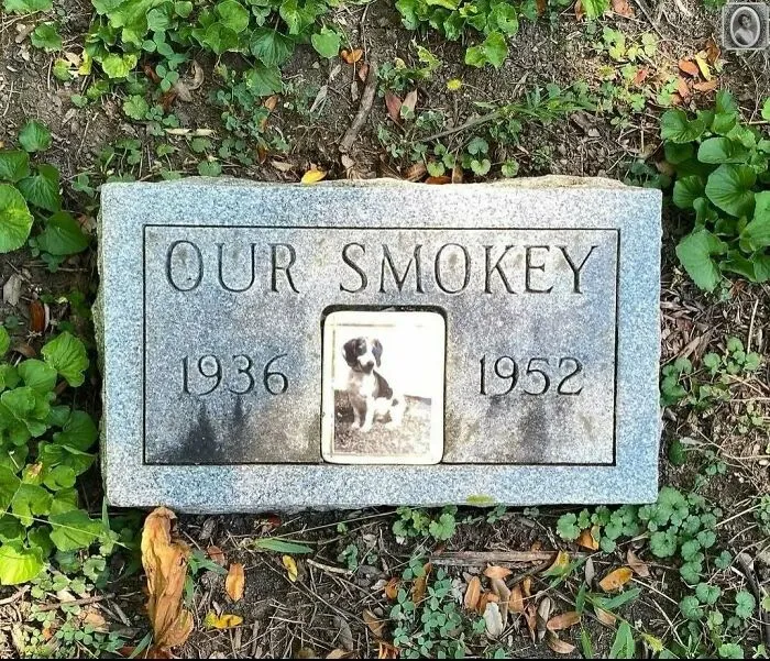 50 Haunting Portraits Found On Tombstones That Tell Stories Of Lives Once Lived