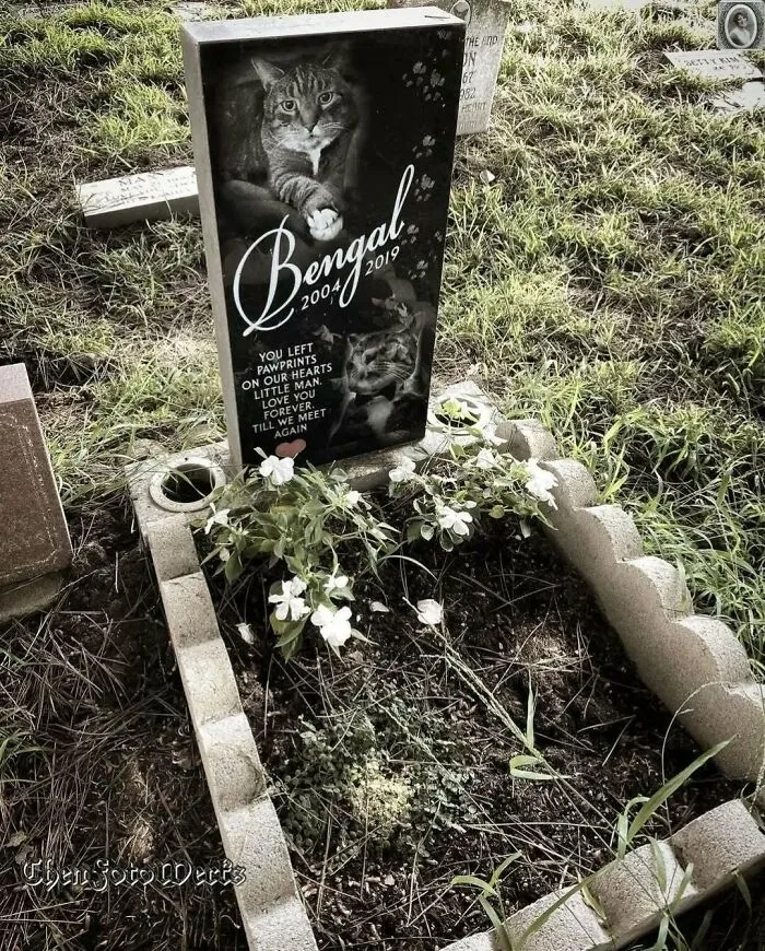50 Haunting Portraits Found On Tombstones That Tell Stories Of Lives Once Lived