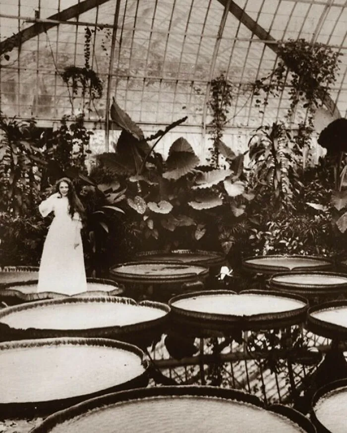 Woman in a vintage greenhouse, standing by large lily pads, capturing a gorgeous historical moment.