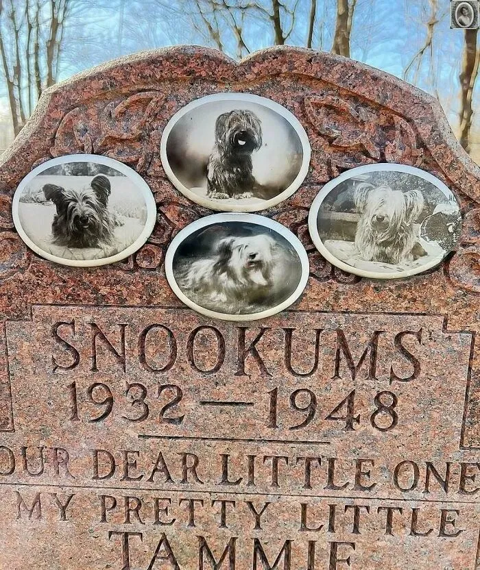 50 Haunting Portraits Found On Tombstones That Tell Stories Of Lives Once Lived