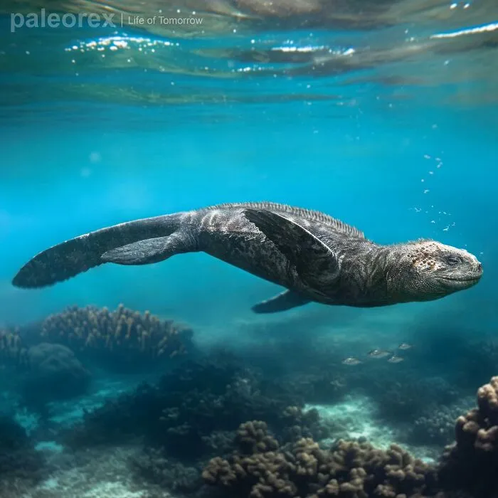 Hydra | Thalassodraco Pegalica