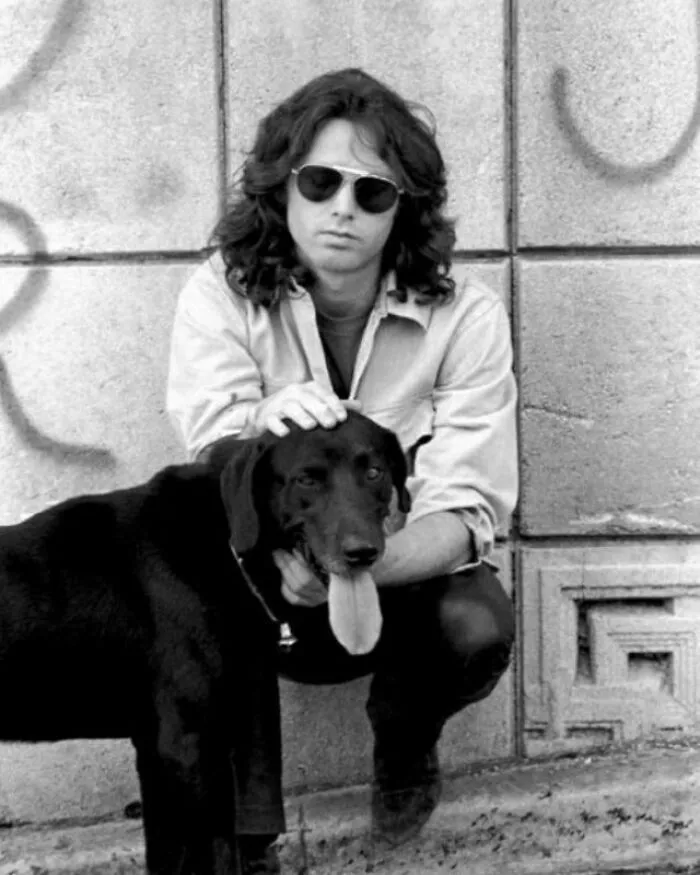 Jim Morrison, de The Doors, adoraba a los perros y tuvo al menos tres durante su vida adulta: Thor, Stoner y Sage