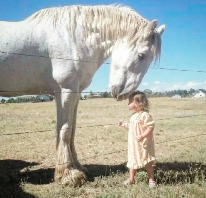 30 Wild And Wholesome Moments From The ‘90s, As Seen On This Dedicated IG Page (New Pics)