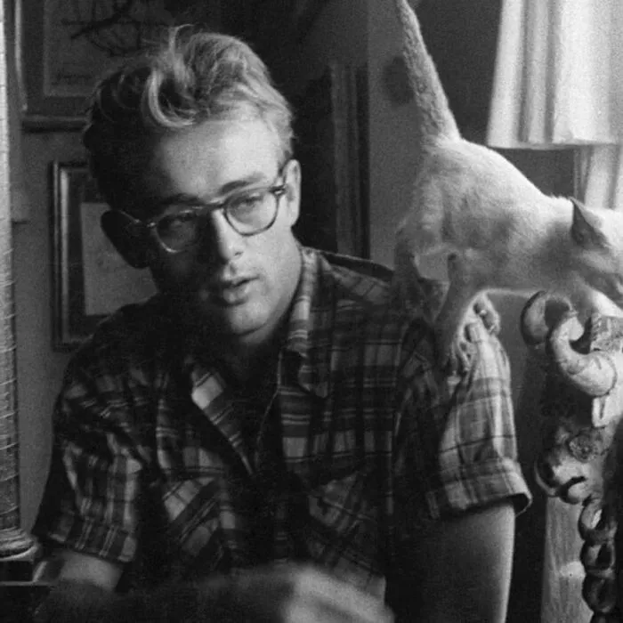 En septiembre de 1955, cuando finalizaba el rodaje de Gigante (1956), James Dean recibió un gatito siamés de su compañera de reparto Elizabeth Taylor, de la que se había hecho amigo durante el rodaje.