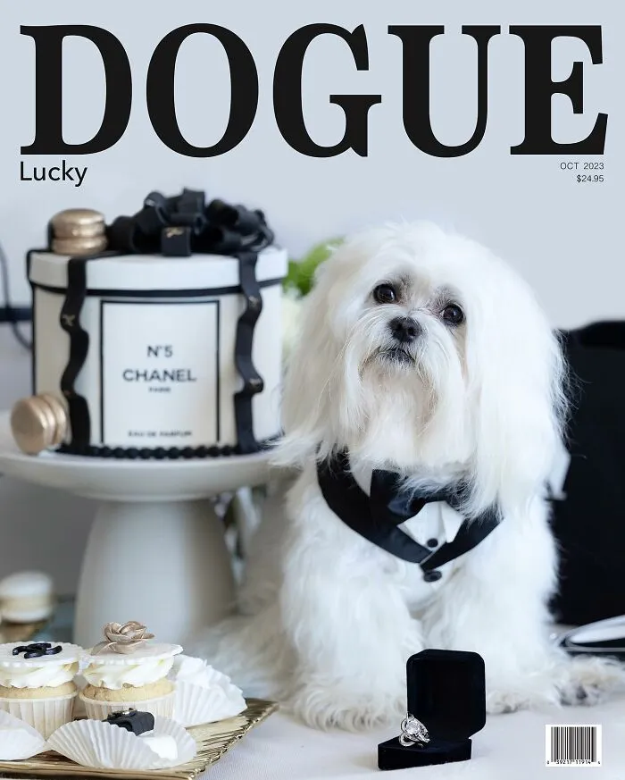 Dogue: 24 Cover Images Of Playful Fashion Dog Parody Of Vogue Magazine