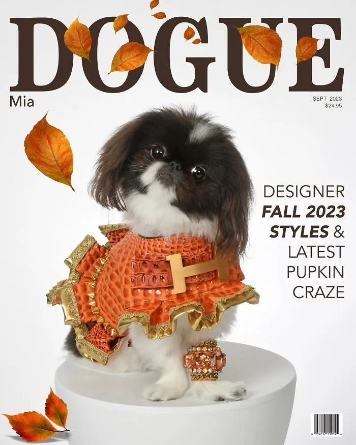 Dogue: 24 Cover Images Of Playful Fashion Dog Parody Of Vogue Magazine