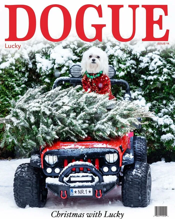 Dogue: 24 Cover Images Of Playful Fashion Dog Parody Of Vogue Magazine