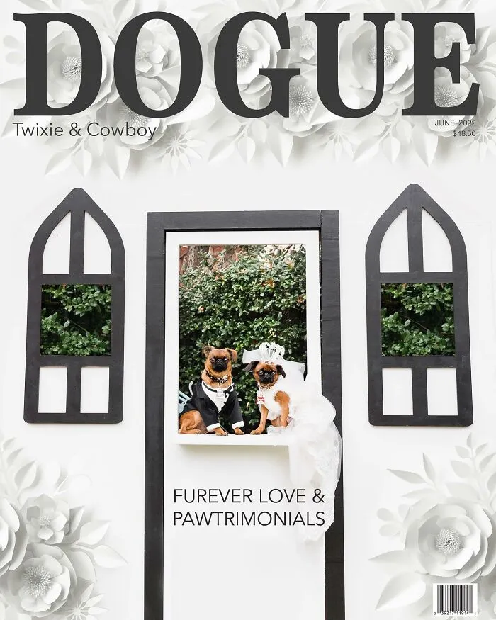 Dogue: 24 Cover Images Of Playful Fashion Dog Parody Of Vogue Magazine