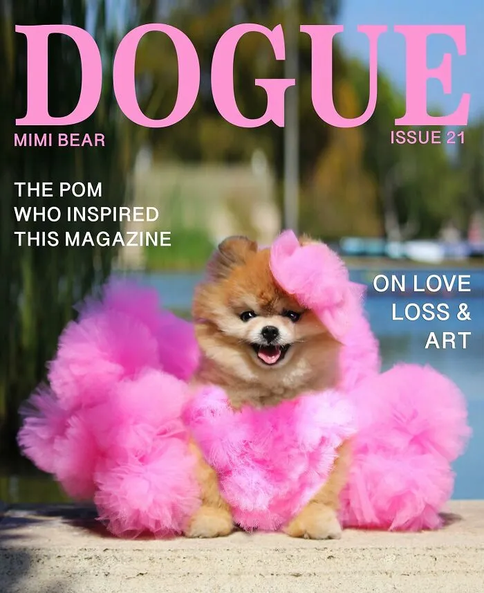 Dogue: 24 Cover Images Of Playful Fashion Dog Parody Of Vogue Magazine