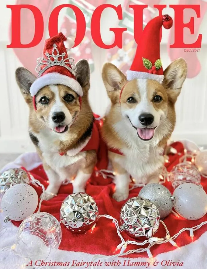 Two dogs wearing holiday hats featured on a "Dogue" fashion magazine cover with festive decorations.