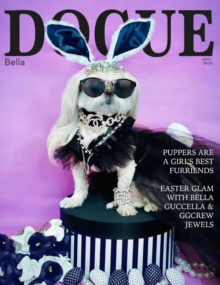 Dogue: 24 Cover Images Of Playful Fashion Dog Parody Of Vogue Magazine