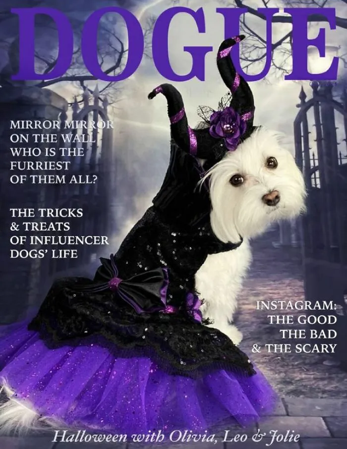 Dogue: 24 Cover Images Of Playful Fashion Dog Parody Of Vogue Magazine