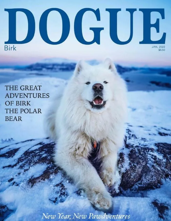 Dogue: 24 Cover Images Of Playful Fashion Dog Parody Of Vogue Magazine