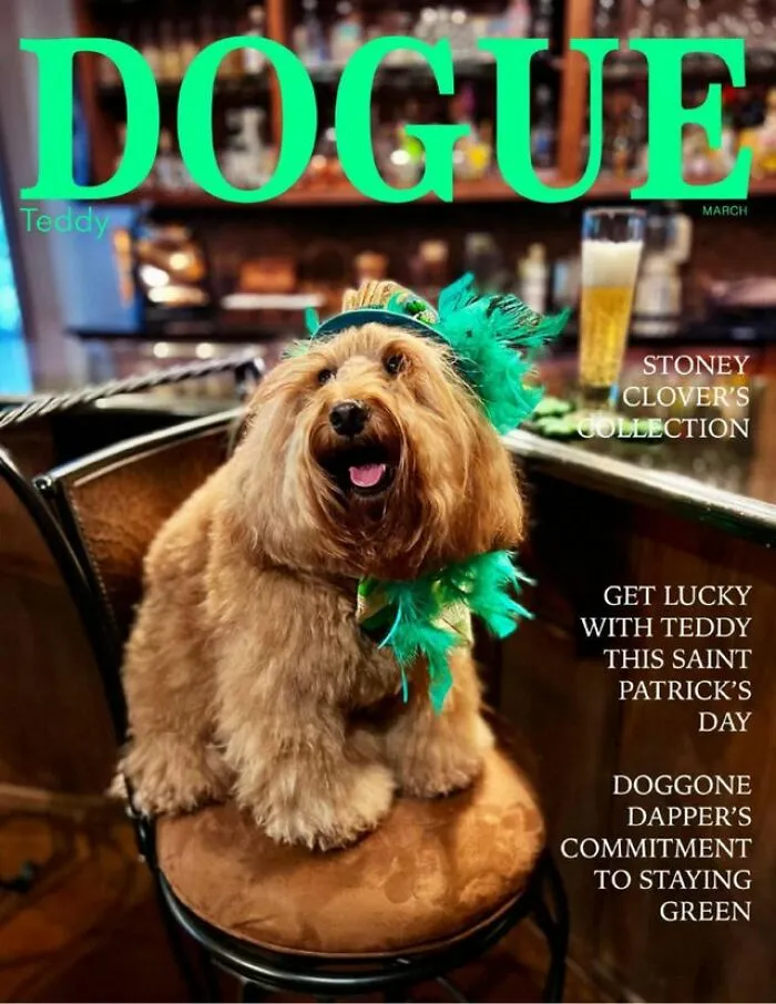 Fluffy dog on the cover of Dogue magazine, wearing green accessories, celebrating St. Patrick's Day in style.