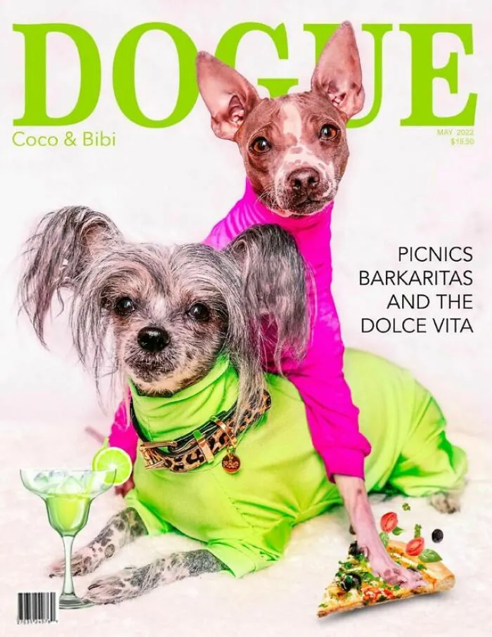 Dogue: 24 Cover Images Of Playful Fashion Dog Parody Of Vogue Magazine