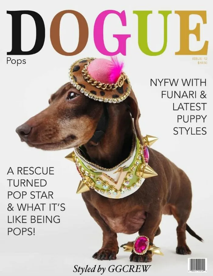 Dogue: 24 Cover Images Of Playful Fashion Dog Parody Of Vogue Magazine