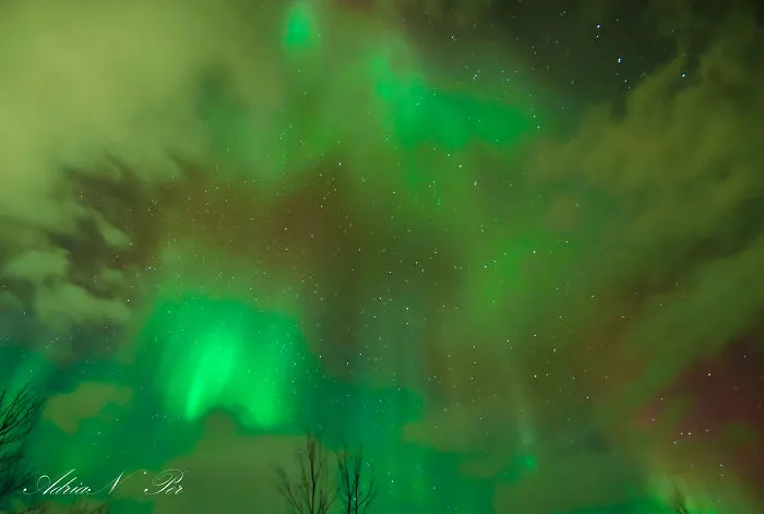 How I Captured The Magic Of The Northern Lights (5 Pics)