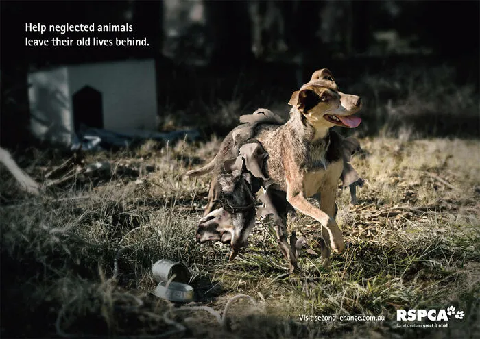 Paw-Sitive Impact: 29 Iconic Dog Ads That Stole Hearts Globally