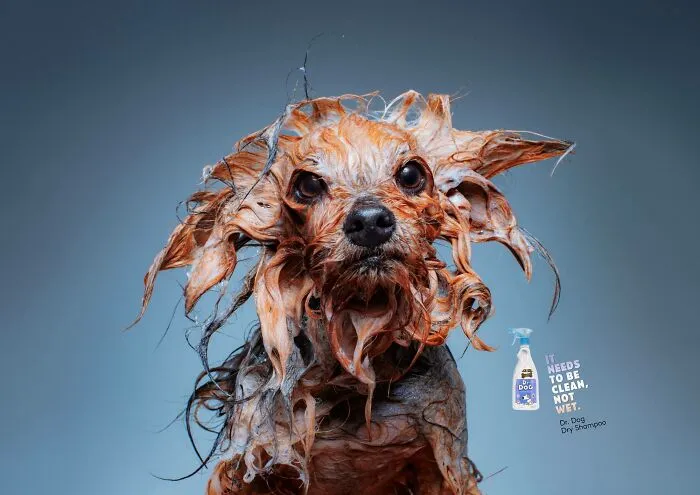 Paw-Sitive Impact: 29 Iconic Dog Ads That Stole Hearts Globally