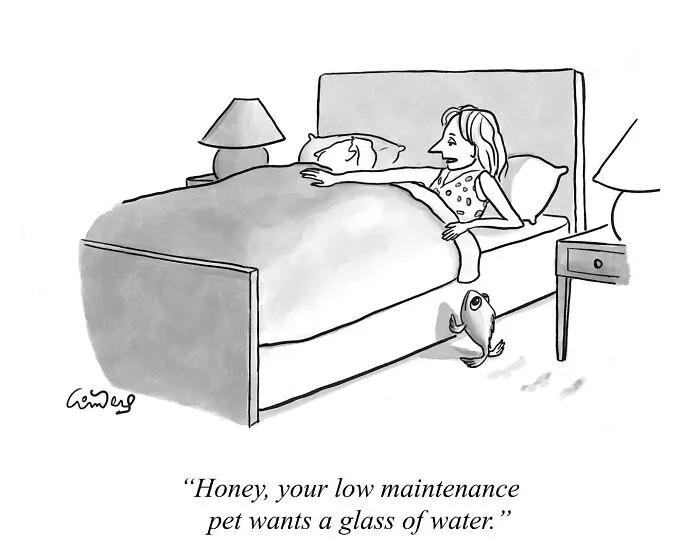 If You Love Smart and Playful Humor, You Might Like These 30 Comics By David Gomberg