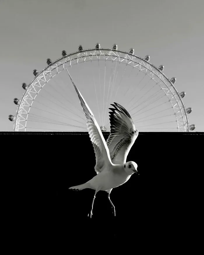 This Photographer Finds Just The Perfect Timing For Her B&W Photos, And Here's 30 Of Them