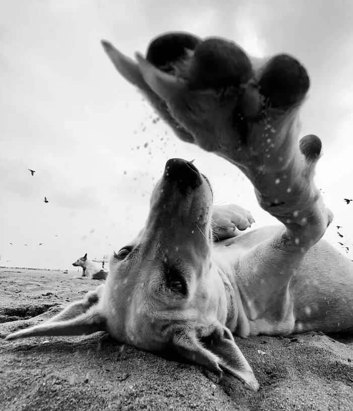 This Photographer Finds Just The Perfect Timing For Her B&W Photos, And Here's 30 Of Them