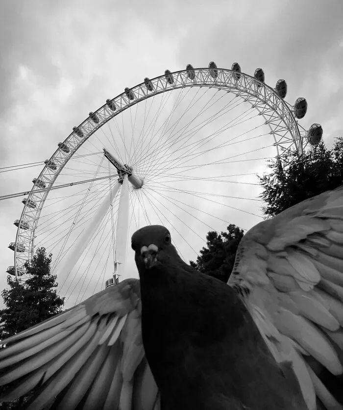 This Photographer Finds Just The Perfect Timing For Her B&W Photos, And Here's 30 Of Them