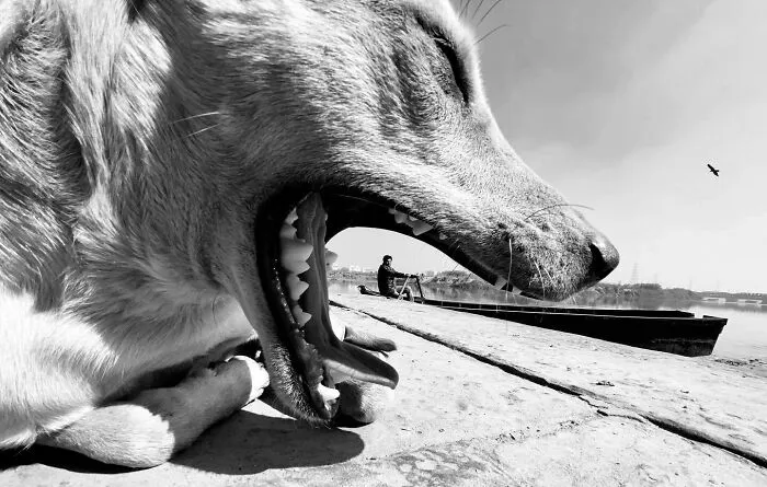 This Photographer Finds Just The Perfect Timing For Her B&W Photos, And Here's 30 Of Them